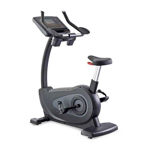 C98s Upright Bike (GG-UB-004)