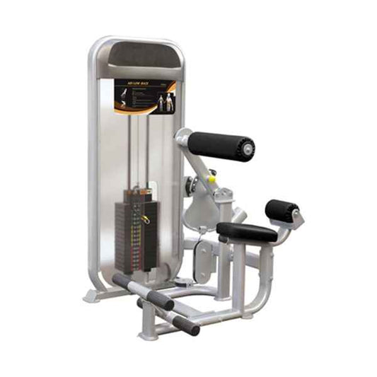Dual Series Ab / Low Back (GG-DUAL-005)