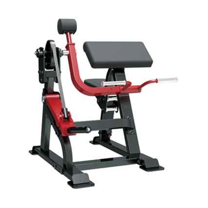 Sterling Series Bicep Curl (GG-STER-108)